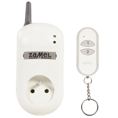 GNIAZDO ZDALNIE STEROWANE Z PILOTEM (RWG-01+P-257/2)  TYP: RWG-01K