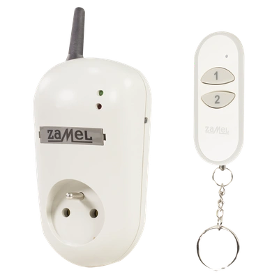 GNIAZDO ZDALNIE STEROWANE Z PILOTEM (RWG-01+P-257/2)  TYP: RWG-01K