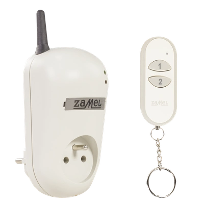 GNIAZDO ZDALNIE STEROWANE Z PILOTEM (RWG-01+P-257/2)  TYP: RWG-01K