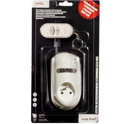 GNIAZDO ZDALNIE STEROWANE Z PILOTEM (RWG-01+P-257/2)  TYP: RWG-01K