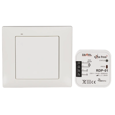 ZESTAW STEROWANIA BEZPRZEWODOWEGO (RNK02+RDP01)  TYP: RZB-02