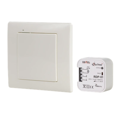 ZESTAW STEROWANIA BEZPRZEWODOWEGO (RNK02+RDP01)  TYP: RZB-02