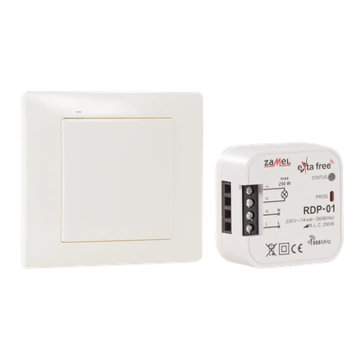 ZESTAW STEROWANIA BEZPRZEWODOWEGO (RNK02+RDP01)  TYP: RZB-02