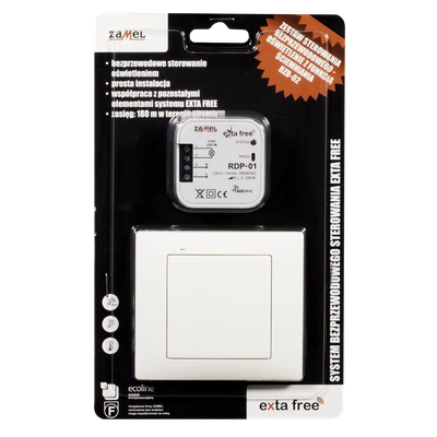 ZESTAW STEROWANIA BEZPRZEWODOWEGO (RNK02+RDP01)  TYP: RZB-02