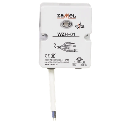WYŁĄCZNIK ZMIERZCHOWY NATYNKOWY Z SONDĄ 230V AC IP65  TYP: WZH-01
