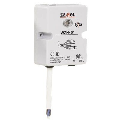 WYŁĄCZNIK ZMIERZCHOWY NATYNKOWY Z SONDĄ 230V AC IP65  TYP: WZH-01