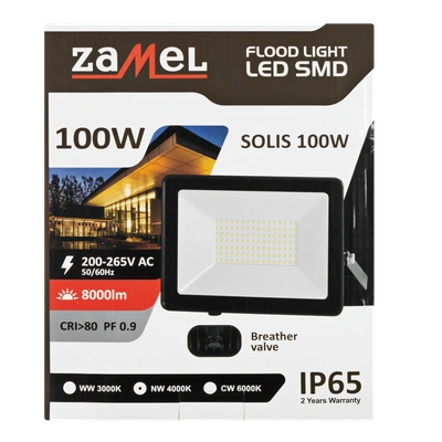 Naświetlacz LED SOLIS 100W 230V IP65 czarny, barwa biała zimna TYP: NAS-100WC
